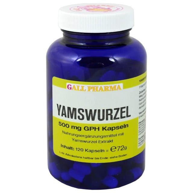 YAMSWURZEL 500 mg GPH Kapseln product image