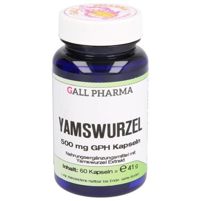 YAMSWURZEL 500 mg GPH Kapseln product image